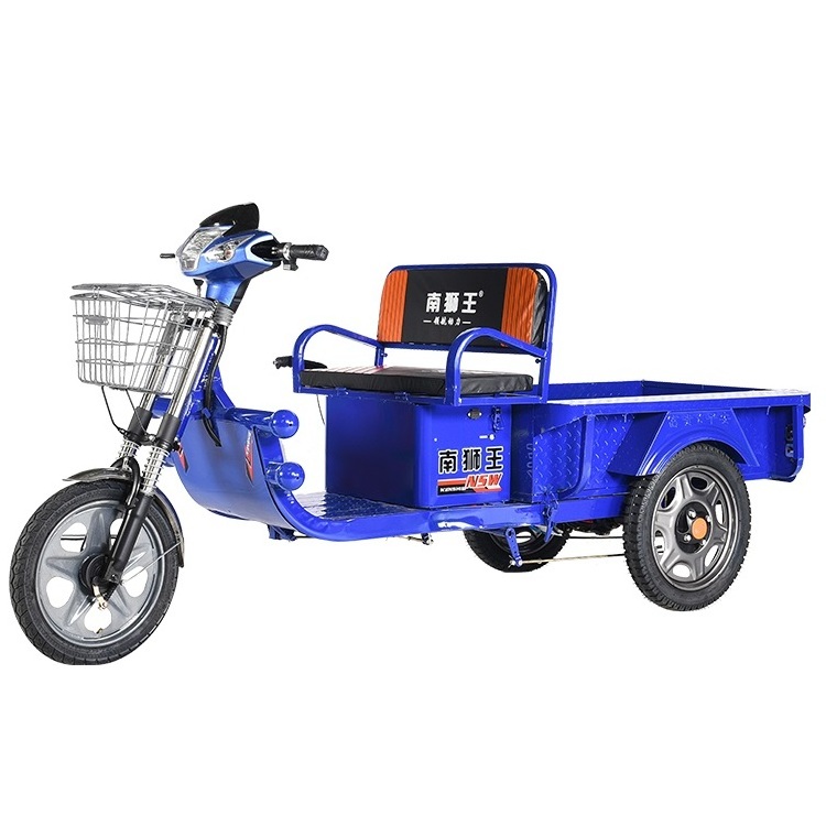 Super Bright Headlights Electric Cago Pedicab 650w 800w Adult 3 Wheels Blue Cargo Electric Tricycles