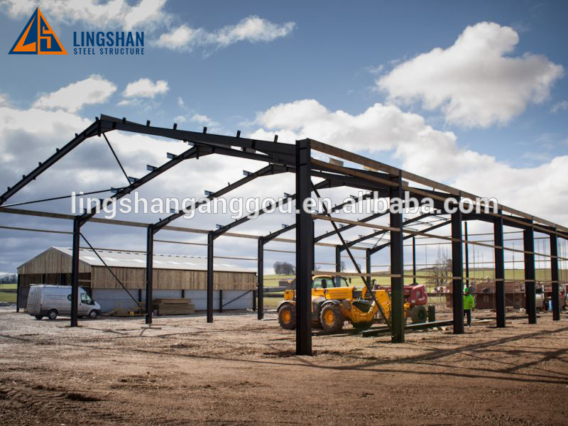 China design low cost prefabricated steel cow / cattle / sheep / chicken farm building / house / barn / byre