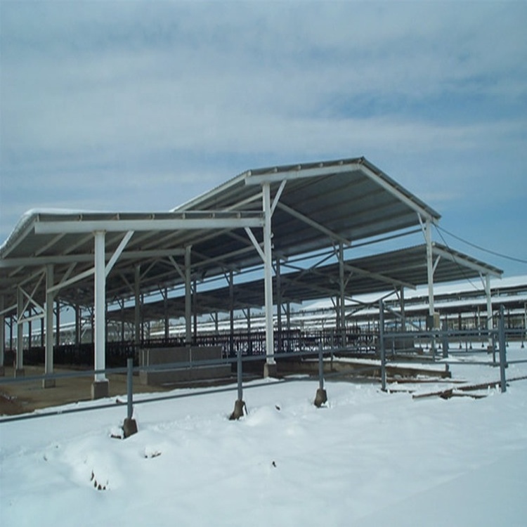 Steel Structure Cow Shed Prefab Steel Farm Building Horse Barn Cow House Design