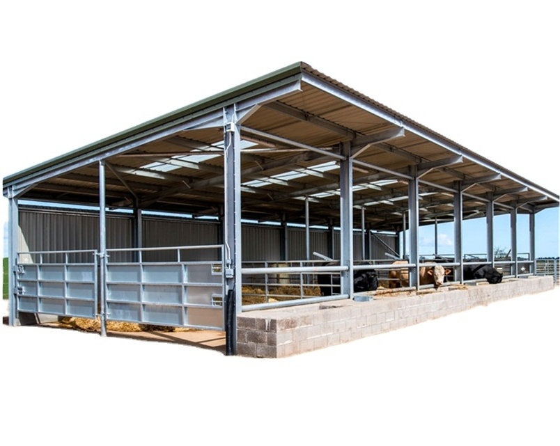 Steel Structure Cow Shed Prefab Steel Farm Building Horse Barn Cow House Design