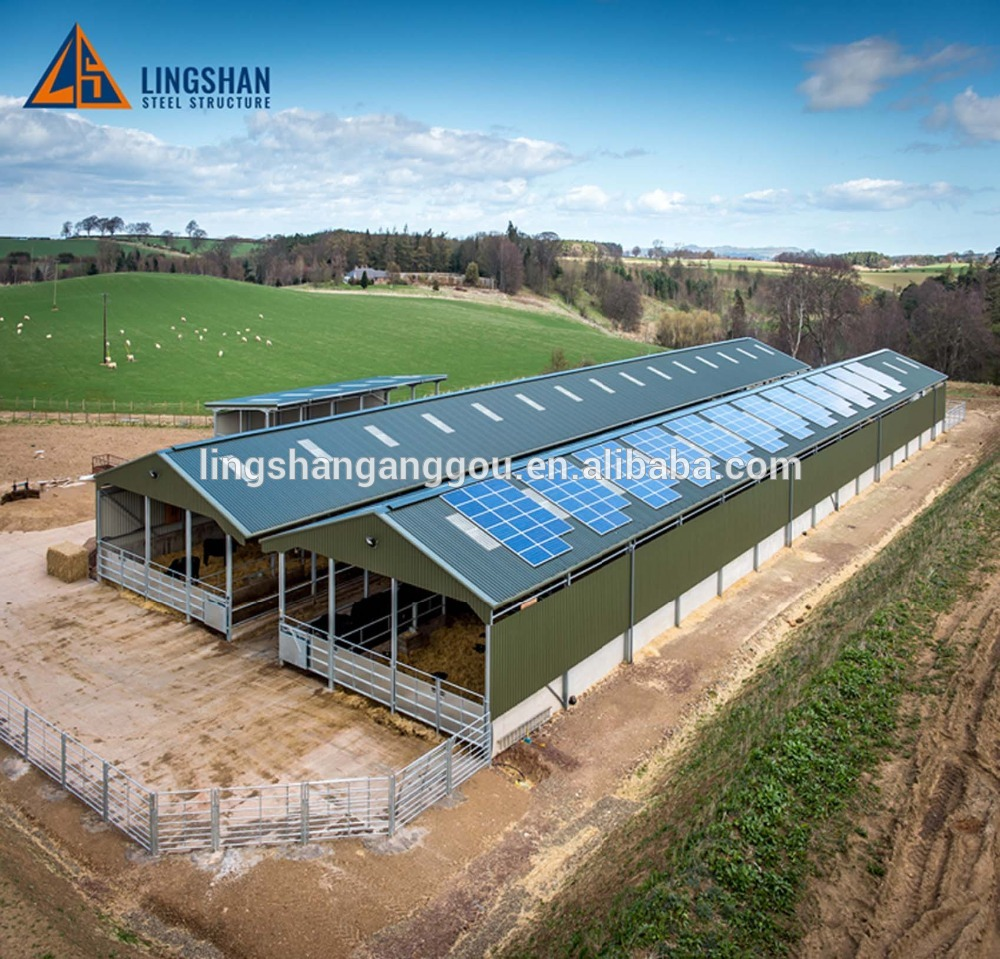 China design low cost prefabricated steel cow / cattle / sheep / chicken farm building / house / barn / byre