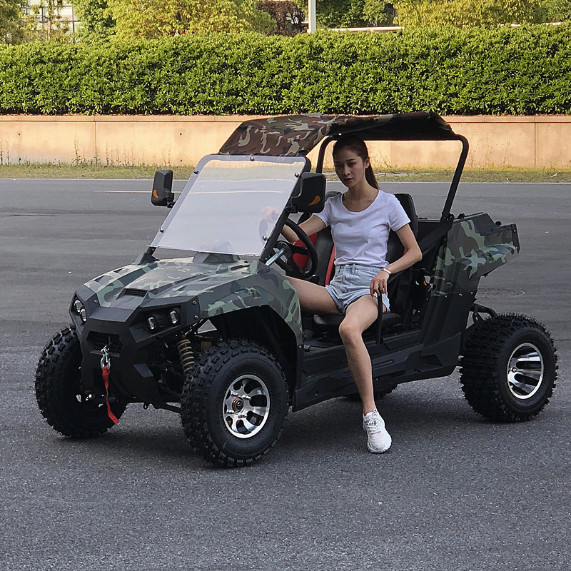 New Cars Electric or Gas or Petrol Vehicle Carrors 4 Wheels Made In China For Adults Mini Electric Jeep Car With CE Certificate