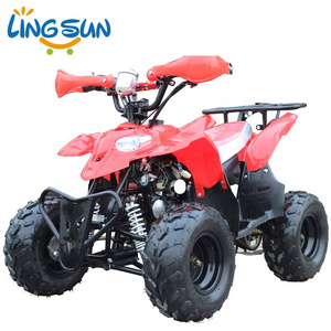 Cheap Adult ATV 110cc Quad Bikes Chain Drive 4 Wheel ATV for Sale