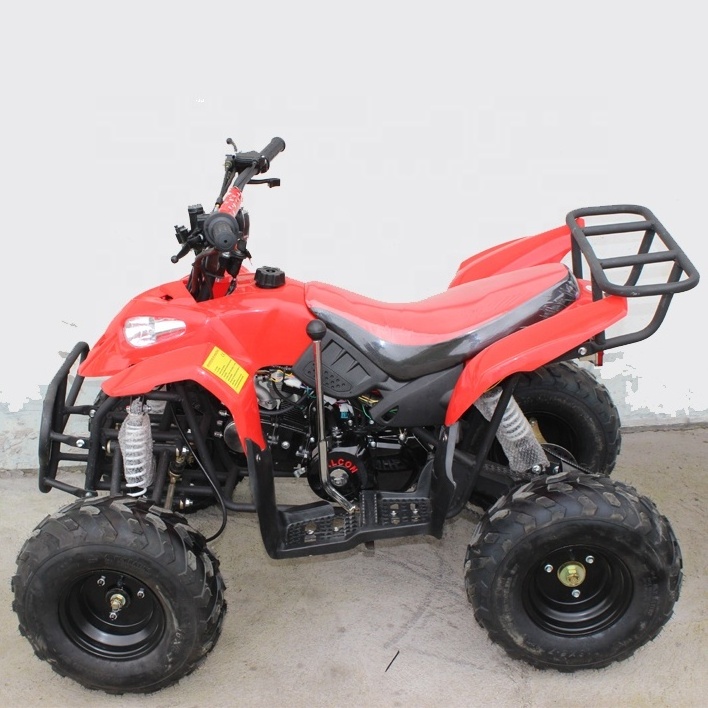 Cheap Adult ATV 110cc Quad Bikes Chain Drive 4 Wheel ATV for Sale