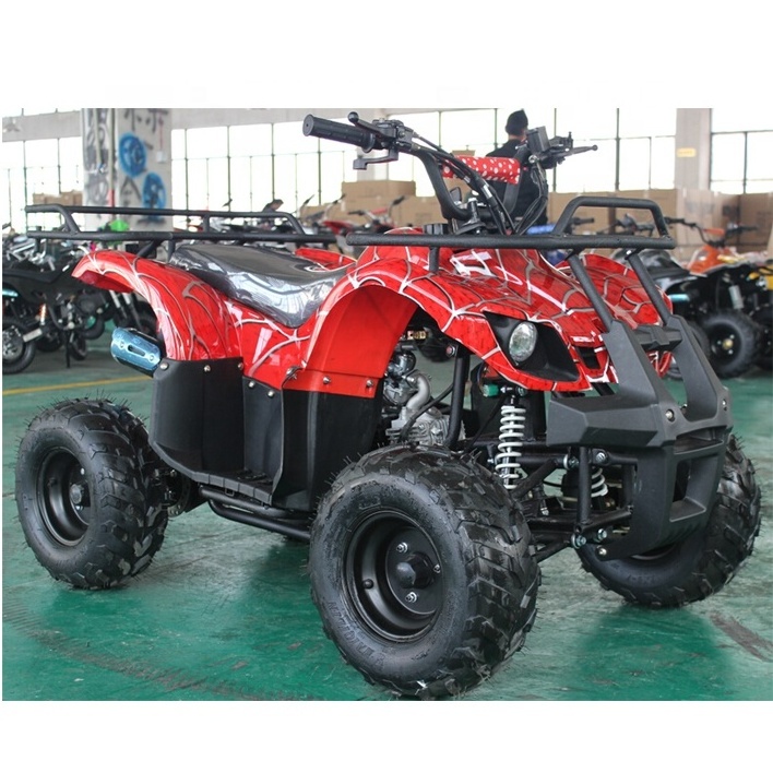 High Quality Chinese 110/125 /150 /200 /250 cc Sport Quad ATV (A7-13)