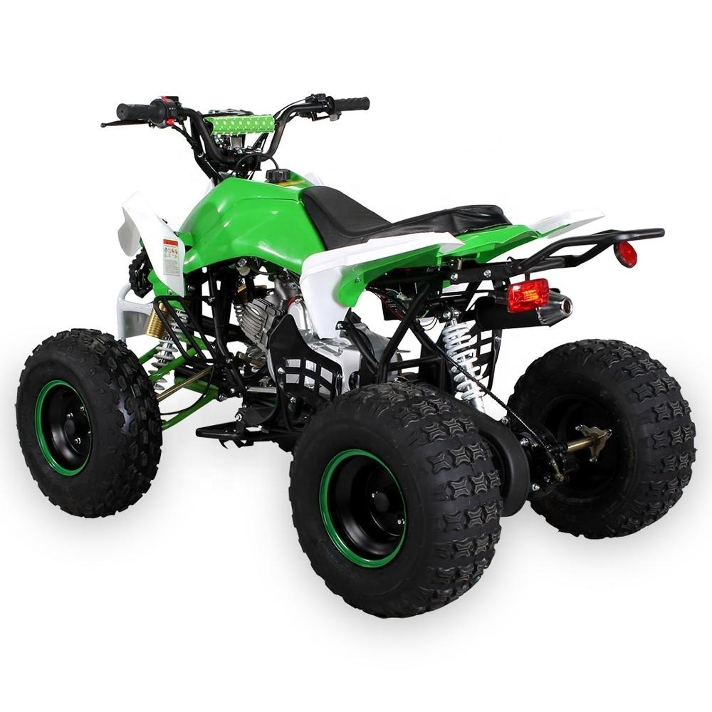 cheap125cc 4 stroke mini atv quad,  gas powered atv