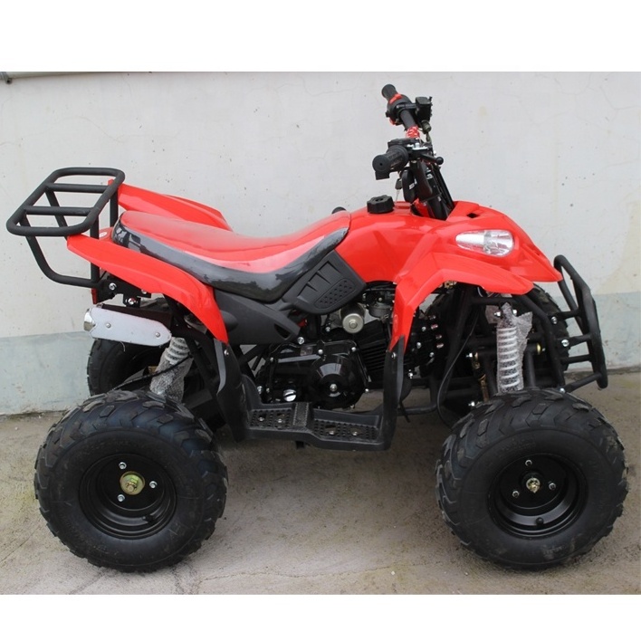 Cheap Adult ATV 110cc Quad Bikes Chain Drive 4 Wheel ATV for Sale