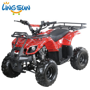 High Quality Chinese 110/125 /150 /200 /250 cc Sport Quad ATV (A7-13)