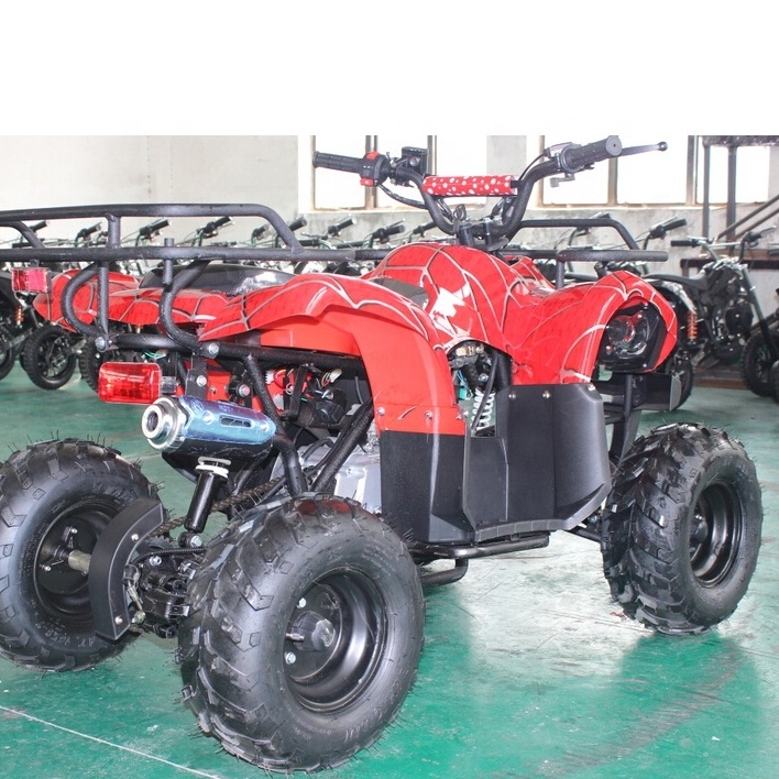 High Quality Chinese 110/125 /150 /200 /250 cc Sport Quad ATV (A7-13)