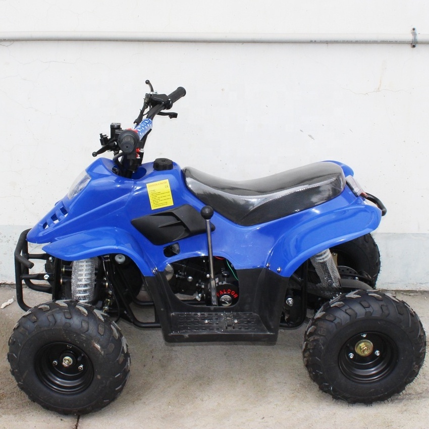 250cc  Racing ATV Quad Bike for adults