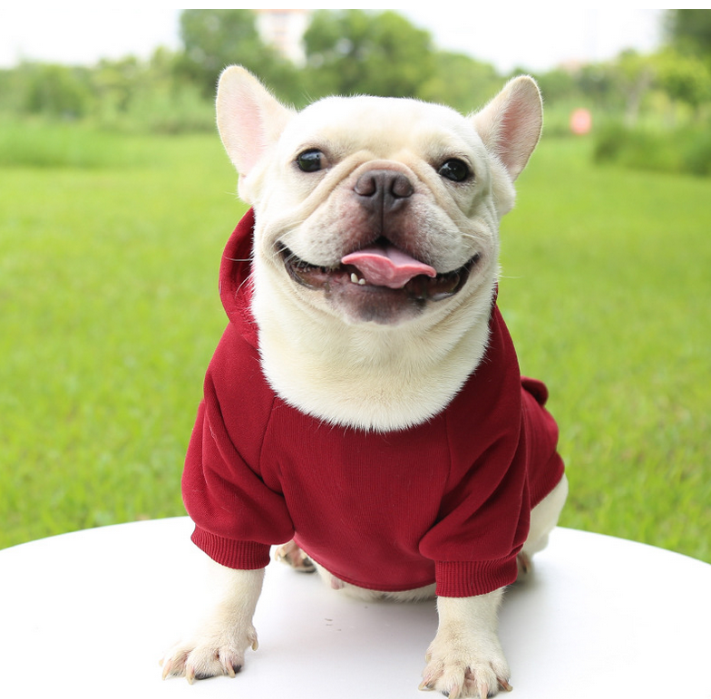 Wholesale Winter Dog Hoodie with Pockets Warm Pet Sweatshirt Soft Dog Clothes for Small Cat Dog Puppy