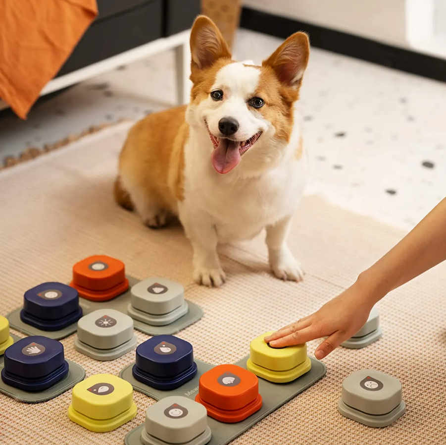 Dog Button Set With Mat & Stickers Pets Talk Trainable and Recordable Communication Vocalised Voice Toy Clicker