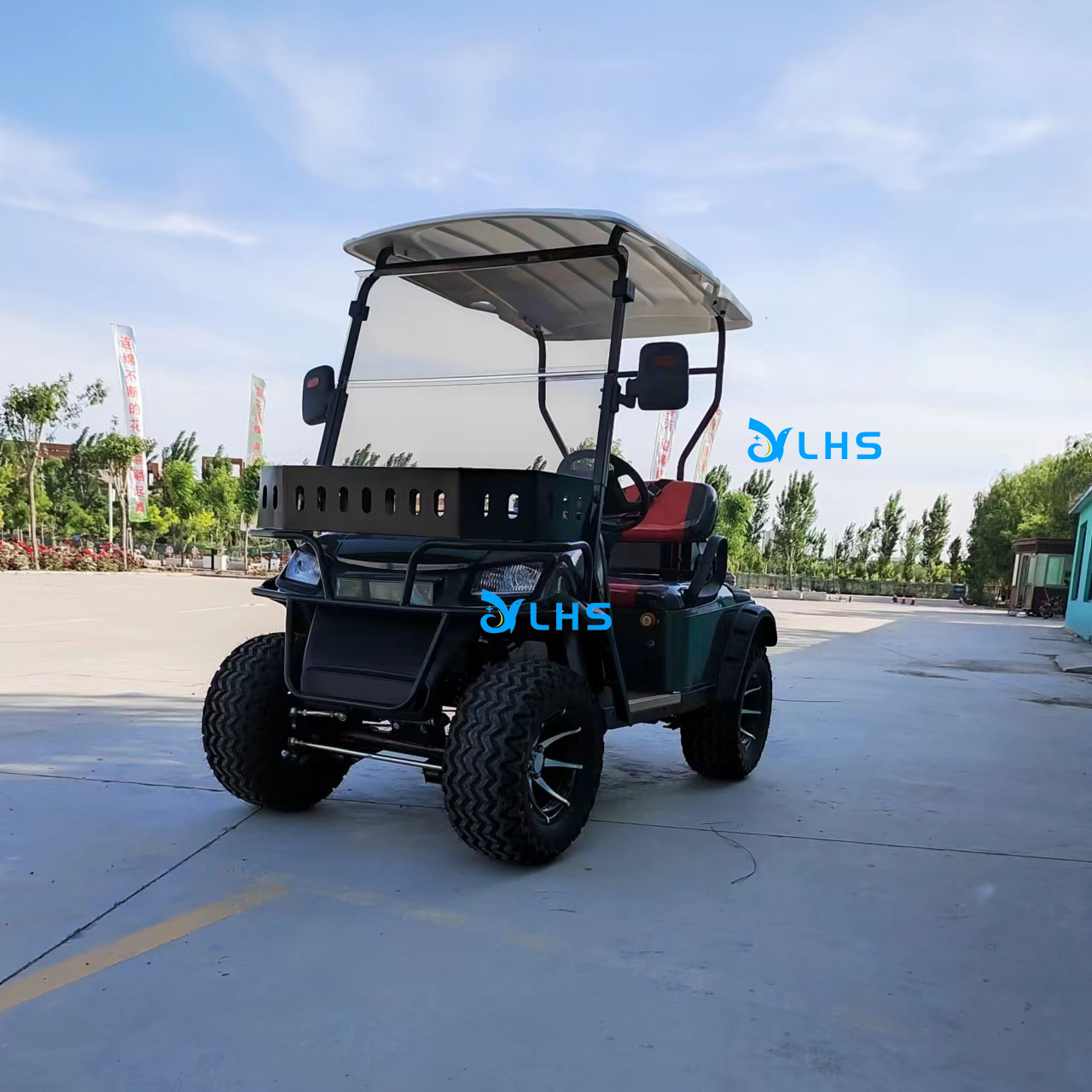 Newest hot sale gas powered golf buggy 4 wheel 2+2 seater golf cart trolley aluminum golf cart with light