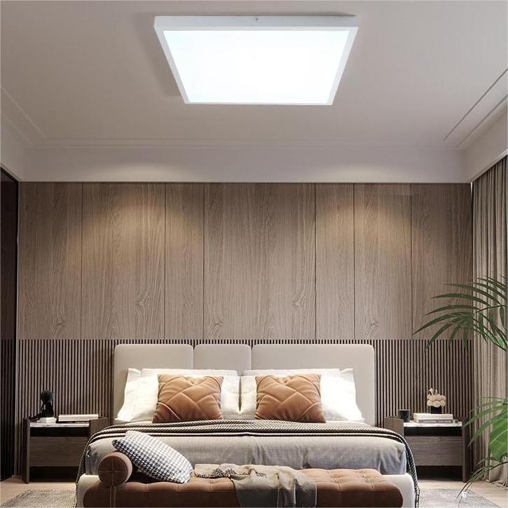 Factory Design Modern Simple Flush Mount Lamp CCT Selectable Surface Mounted Large Led Rectangle Ceiling Light