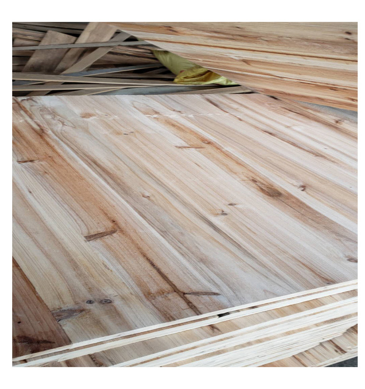 Paulownia, poplar, spruce, pine,cidar and fir wood board species and 8%-12% Moisture content sawn timber