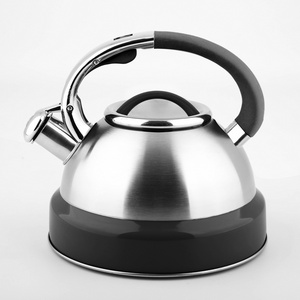 New design Hot sale Stainless Steel 2L/3L Whistling Kettle Water Kettle Tea kettle oem