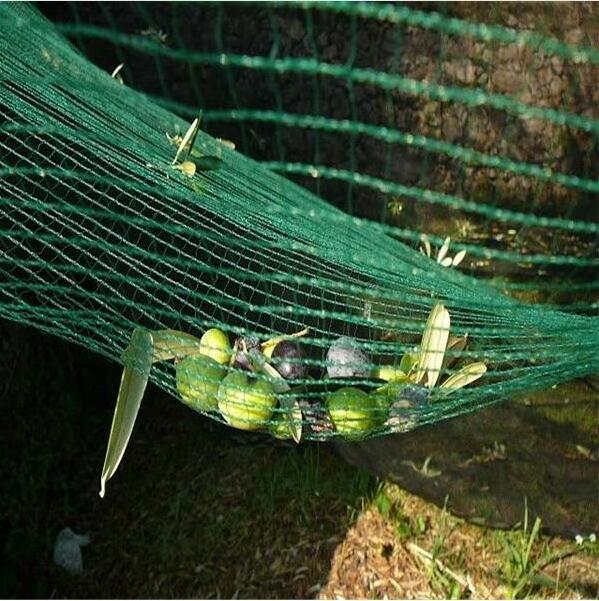 HDPE Agriculture Fruit Olive Net Harvest Nets Collection Collecting Net