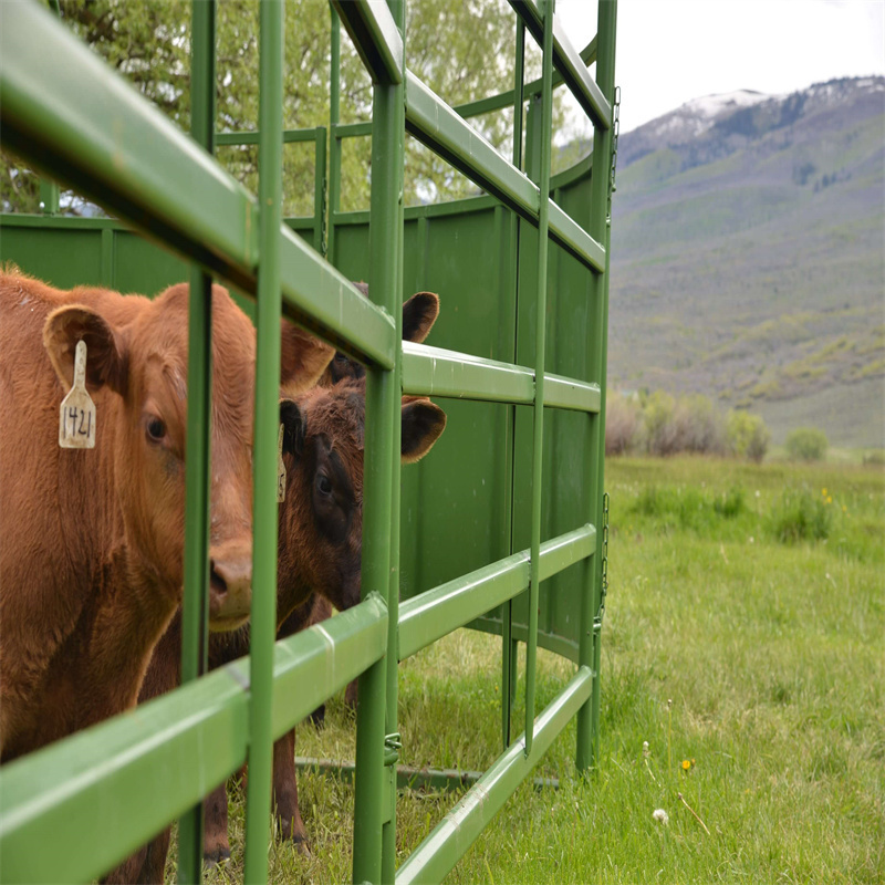 Wholesale heavy duty free standing galvanized welded metal tube bulk livestock yard cattle fence panels