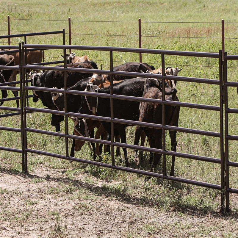 Wholesale heavy duty free standing galvanized welded metal tube bulk livestock yard cattle fence panels