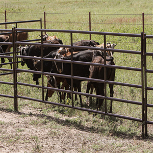 Wholesale heavy duty free standing galvanized welded metal tube bulk livestock yard cattle fence panels