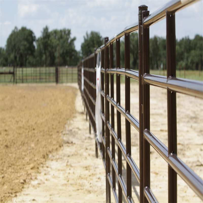 Wholesale heavy duty free standing galvanized welded metal tube bulk livestock yard cattle fence panels