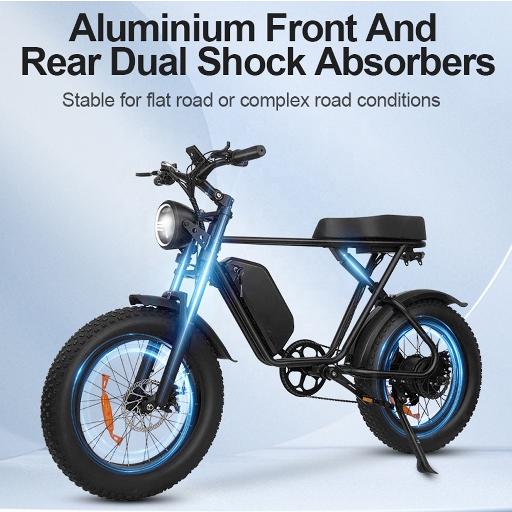 20 inch Cheap Aluminum Alloy Fast 1000w Dual Motor Fat Mountain Tire Adults Electric Bike