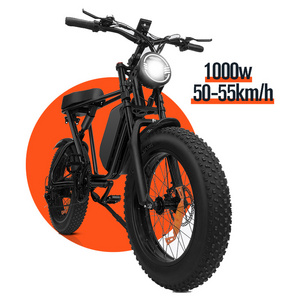 20 inch Cheap Aluminum Alloy Fast 1000w Dual Motor Fat Mountain Tire Adults Electric Bike