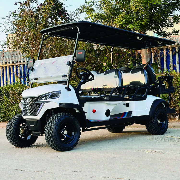 6 seater electric golf cart utility buggy food golf carts