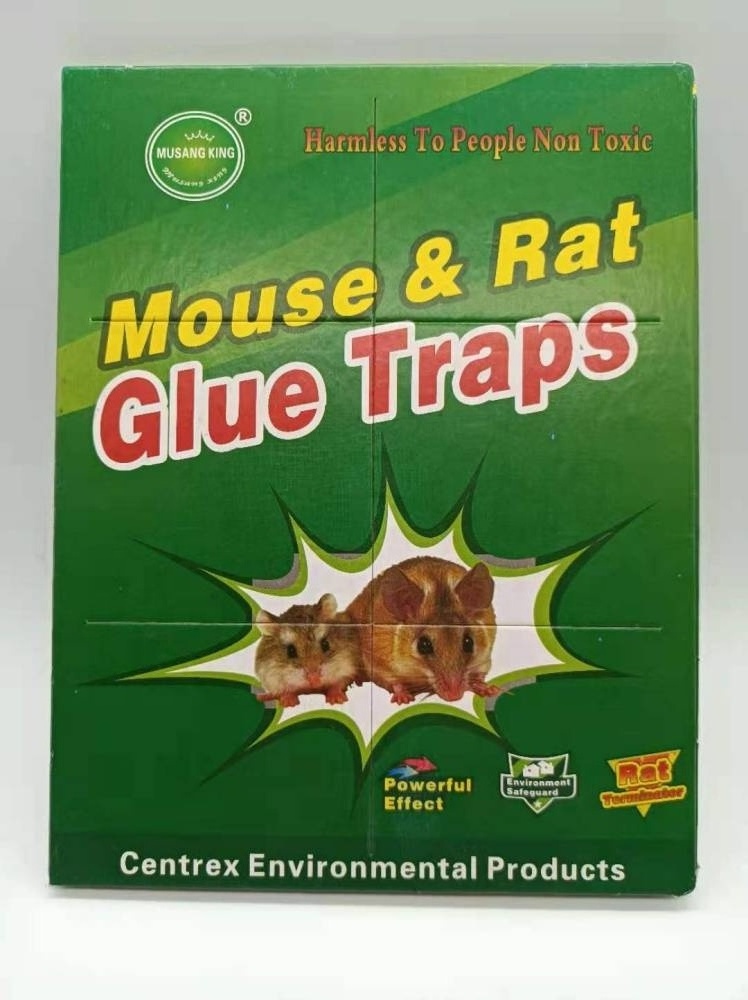 Mouse Glue Board Rat Glue Board Mice Trap Radio Machine to Kille Rats and Mice Super Glue Traps 12 Pack for Mice & Snakes