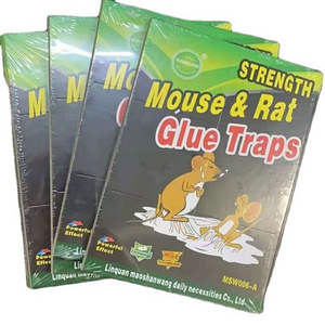 NO.1mouse rat glue trap  manufacturer customize glue board glue bit Sticky mouse board Mouse plate board