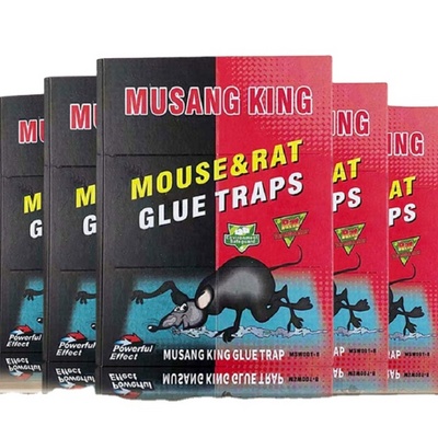 NO.6 mouse rat glue trap  manufacturer mouse rat glue board mouse rat glue pad customization