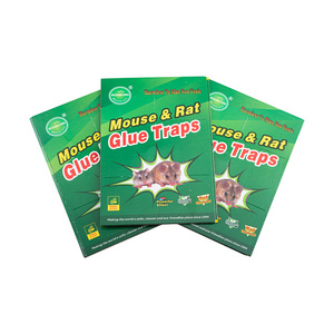 Best Quality Mice Catcher Mouse Gule Trap Pest Control Mouse Rat Cockroaches Fly Glue Trap