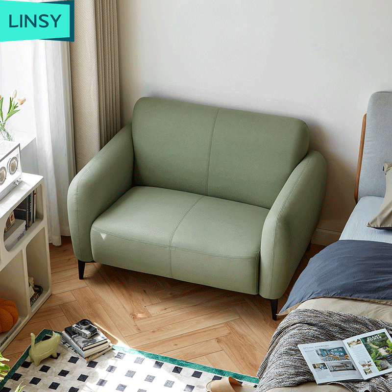 Linsy Living room technology fabric sofa small unit double sofa Nordic sofa