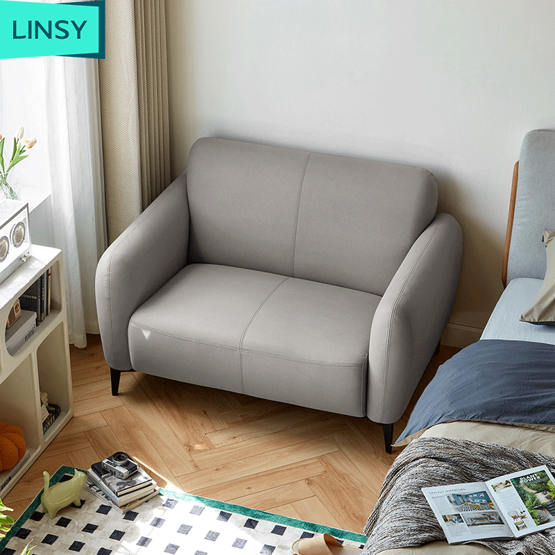 Linsy Living room technology fabric sofa small unit double sofa Nordic sofa