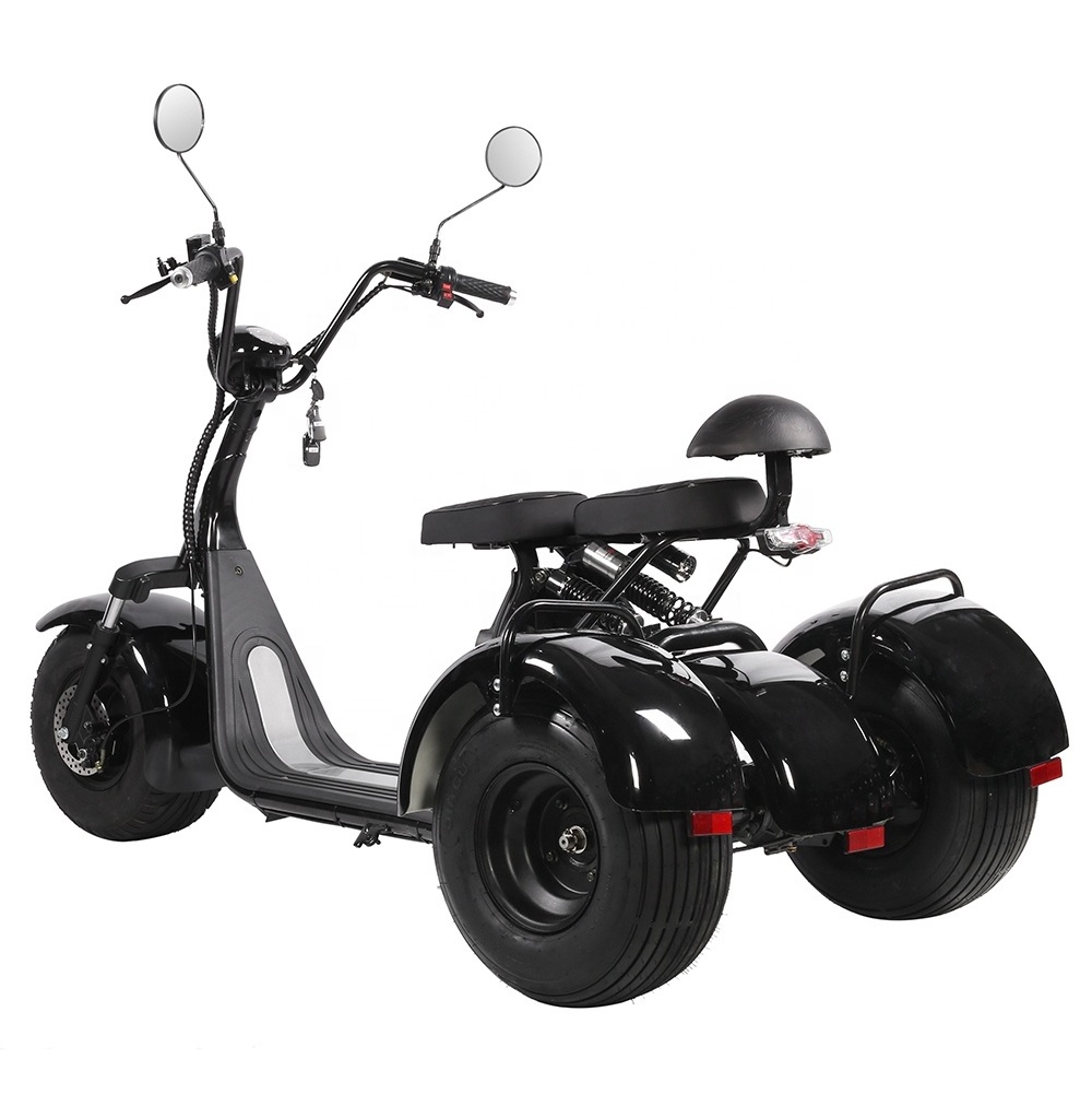 Lingte X310 Big Three Wheels Electric Fat Tyre Moped Scooter 2 Seats Adults 60V Motorcycle 1000W 2000W Electric Tricycle