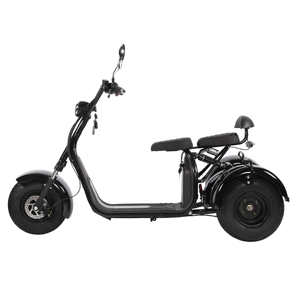 Lingte X310 Big Three Wheels Electric Fat Tyre Moped Scooter 2 Seats Adults 60V Motorcycle 1000W 2000W Electric Tricycle