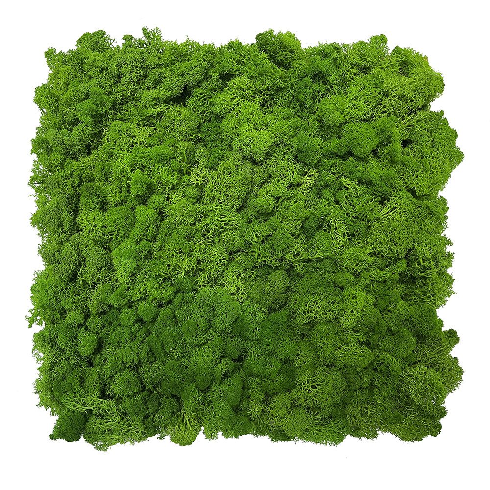 Linwoo Best Selling High Quality Artificial Plant UV Certified Green Simulated Moss Wall Grass