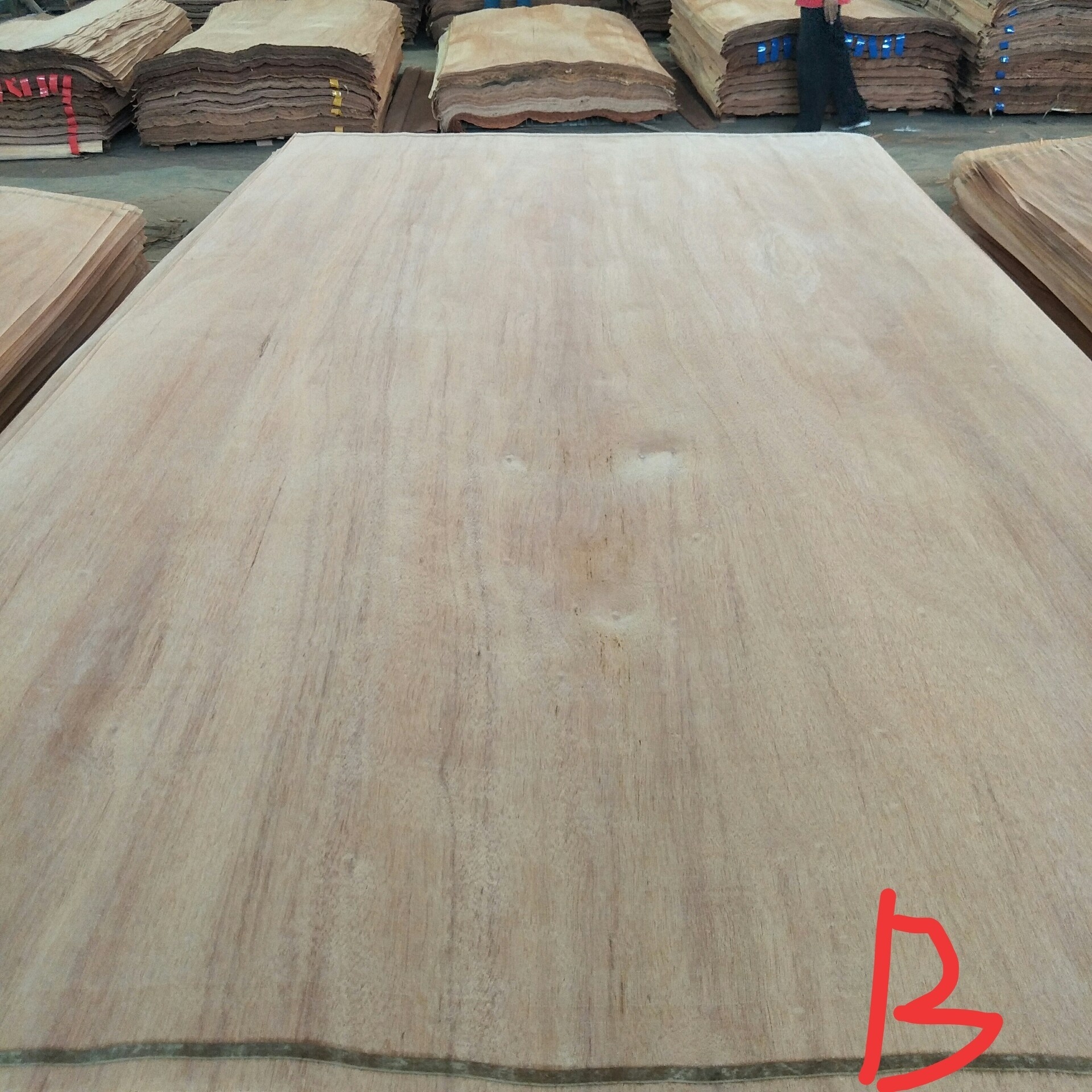 4*8 Natural rotary cut Indonesia gurjan keruing veneer for plywood