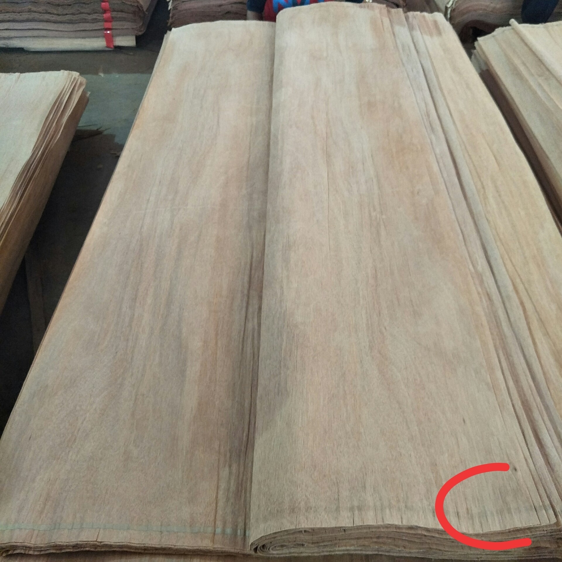 4*8 Natural rotary cut Indonesia gurjan keruing veneer for plywood