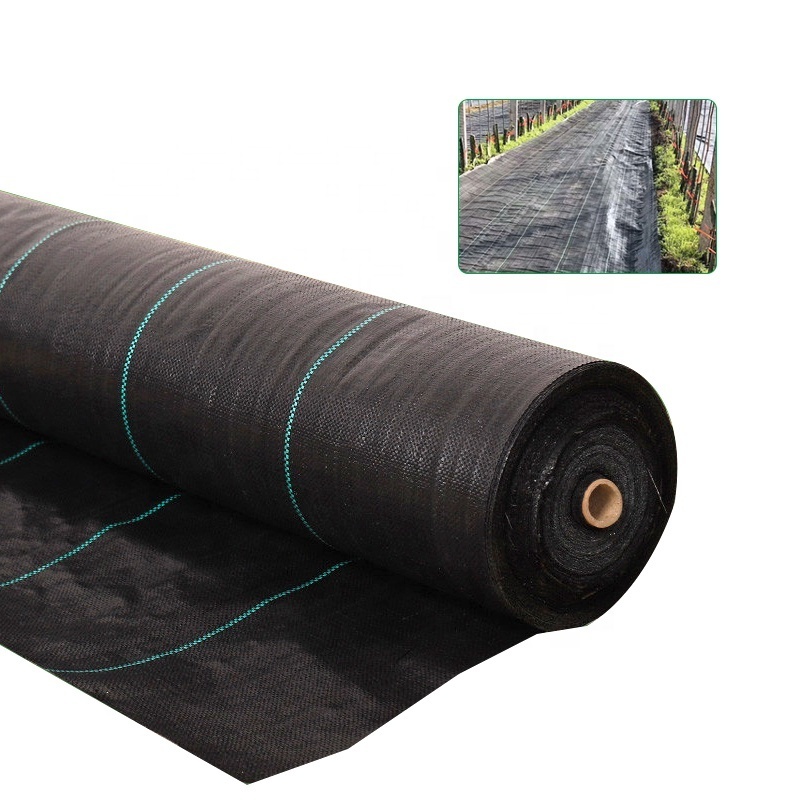 Plastic mulch layer fabric anti weed barrier for farm agricultural ground cover pp woven weed mat