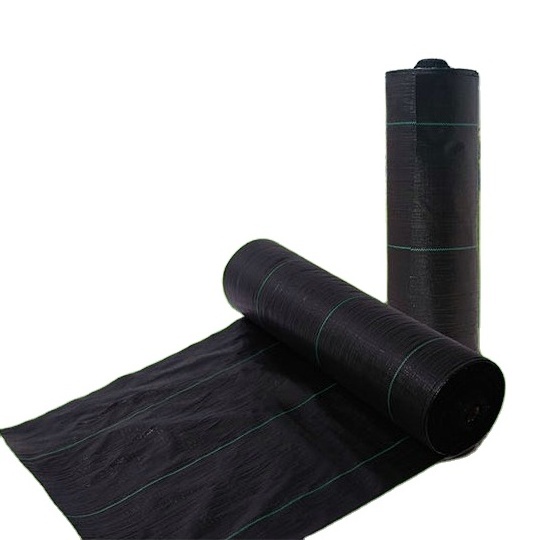 Plastic mulch layer fabric anti weed barrier for farm agricultural ground cover pp woven weed mat