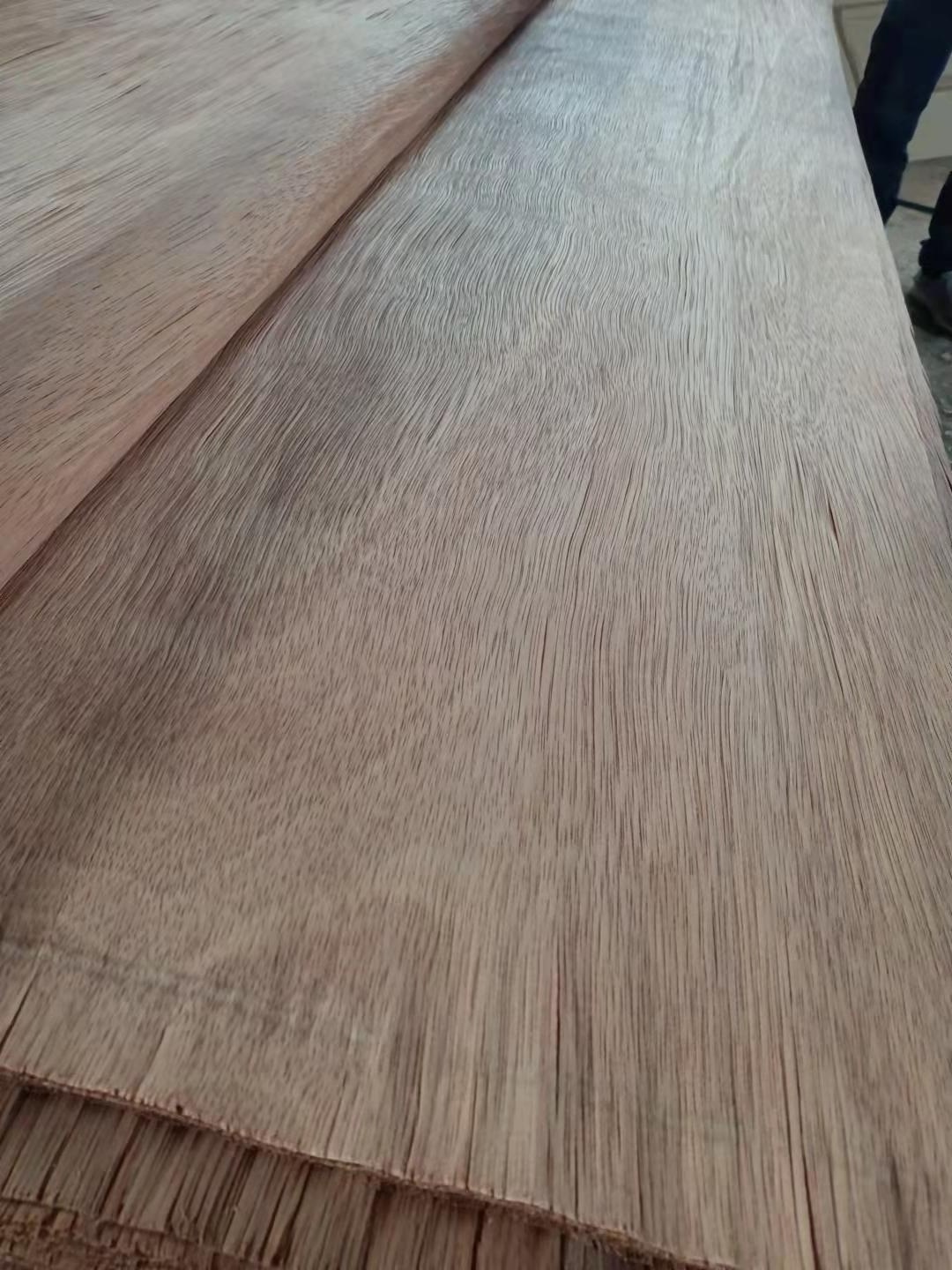 Linyi veneer supplier sale/PLB wood veneer/Rotary cut natural wood veneer