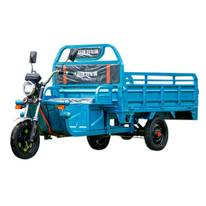 1000W wholesaler adults Multi-functional convenience tricycle electric bike electric cargo tricycle Triciclo Electrico