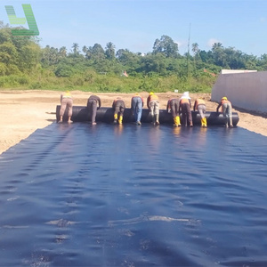 HDPE /LDPE /lldpe geomembrane/pond liner