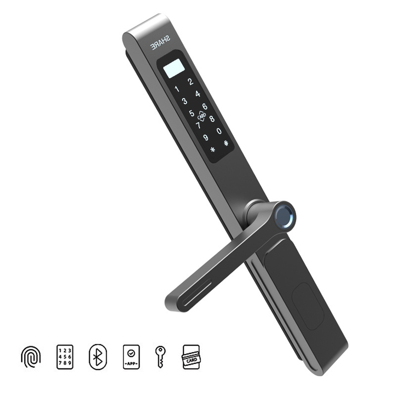 Smart Fingerprint Slide Digital Electric Cord Door Locks With Lock Cylinder Tuya APP