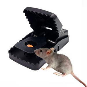 Trapper T Rex Rat Traps Rat Catcher Mouse Trap Plastic Rat Traps