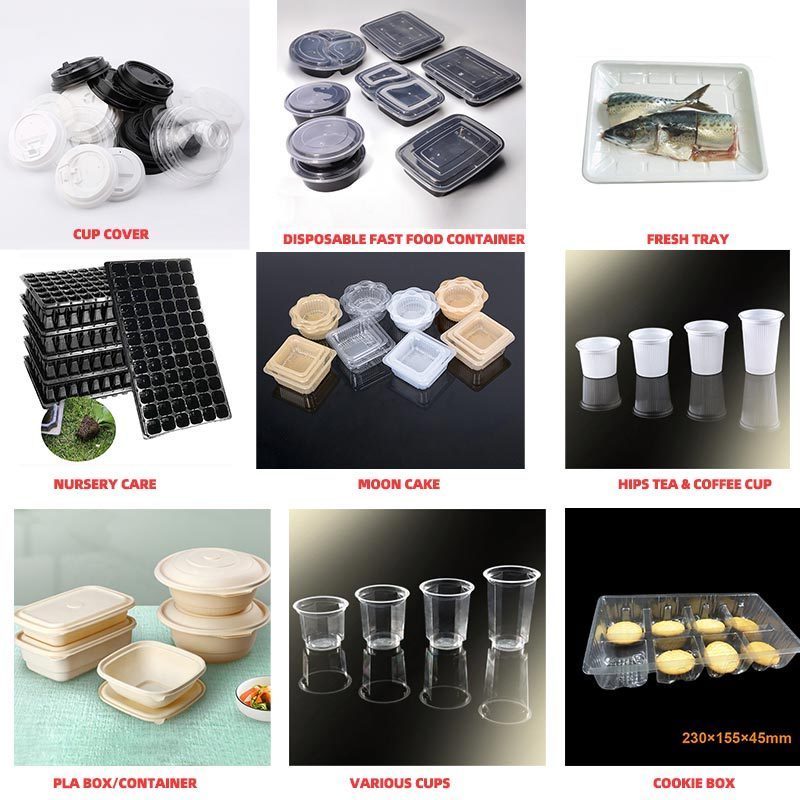 Three Phase Low Cost Disposal Plastic Cup Glass Making Machine For Making Biodegradable Plates Plastic Dishes Box