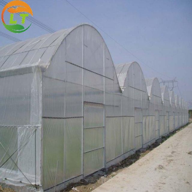 Commercial Greenhouse Industrial Hydroponic Greenhouse Systems