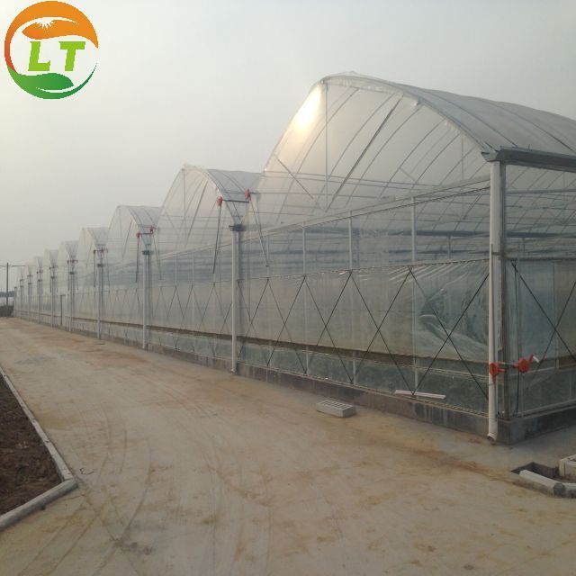 cheapest price commercial used multi span greenhouse for sale