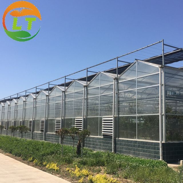 Soilless culture multi-span glass greenhouse for sales